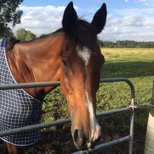 Meet your Posher, Vanessa